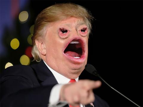 特朗普推出TRUMP币、trump币价格今日行情