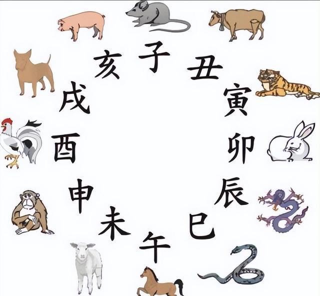 立春打一准确生肖动物、立春打一生肖是什么动物